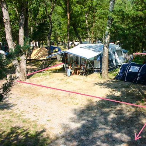 Pitch - Evasion Sous-Bois