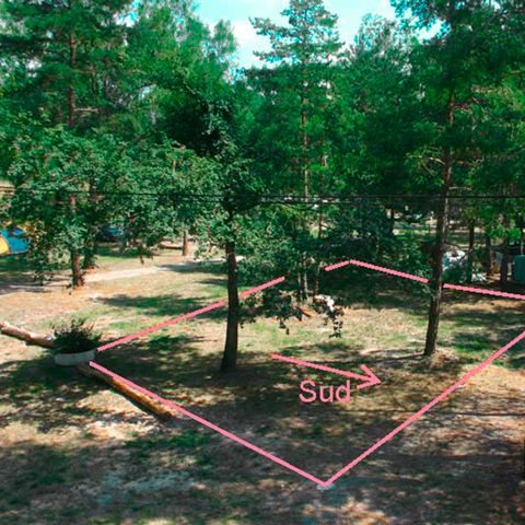 PIAZZOLA - Evasione Sous-Bois