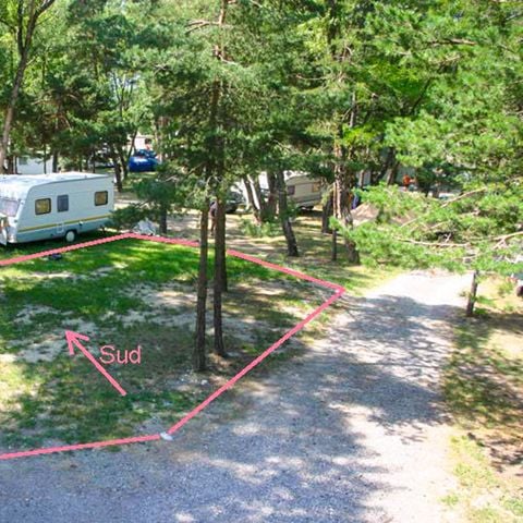 PIAZZOLA - Evasione Sous-Bois