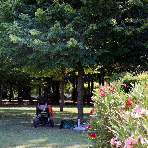 PIAZZOLA - Caravan - piscina extra