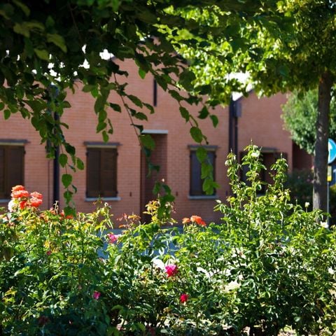 APPARTEMENT 4 personnes - Bungalow