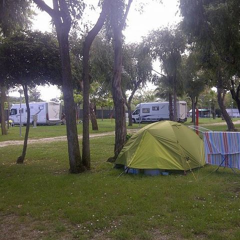 Stellplatz - Stellplatz Confort 60/80 m2 - Haustiere erlaubt