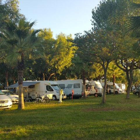 EMPLACEMENT - Emplacement Standard 60/80 m2 - Animaux admis