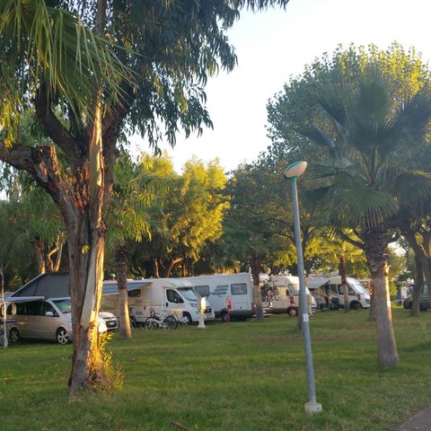 Stellplatz - Stellplatz Standard 60/80 m2 - Haustiere erlaubt
