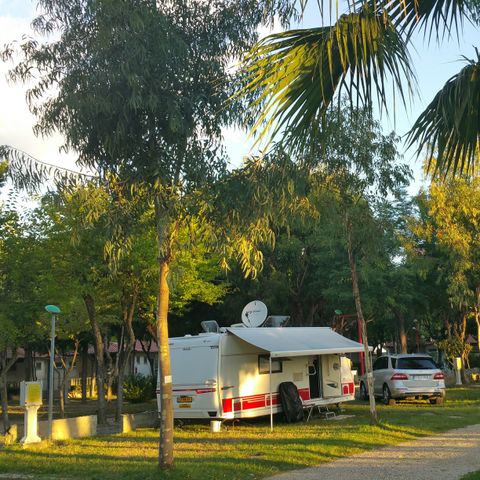 PARCELA - Parcela estándar 60/80 m2 - Se admiten mascotas