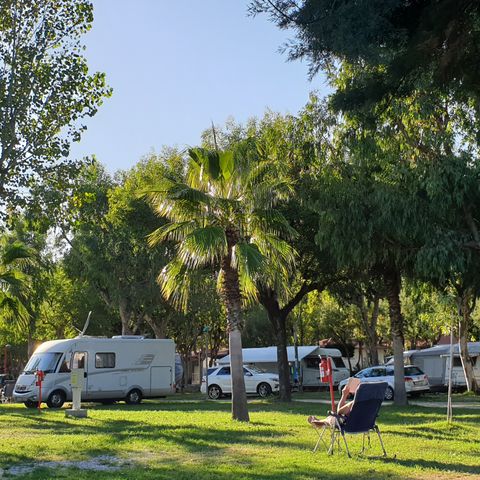 Stellplatz - Komfort Stellplatz 110 m2 - Haustiere erlaubt