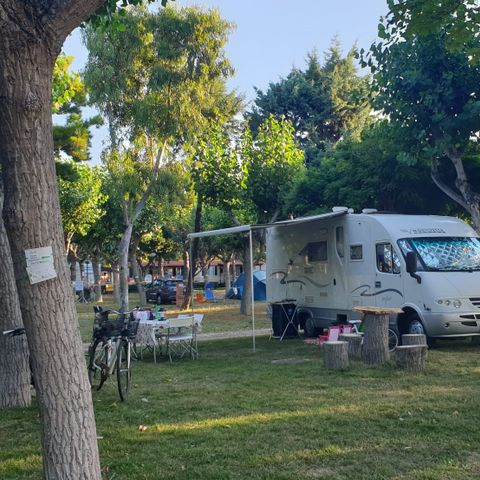 EMPLACEMENT - Confort Emplacement 110 m2 - Animaux admis