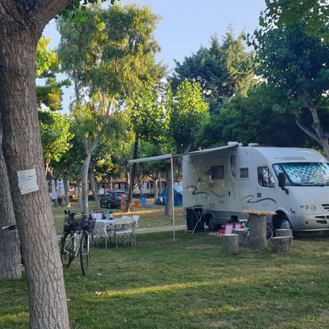 Stellplatz - Komfort Stellplatz 110 m2 - Haustiere erlaubt