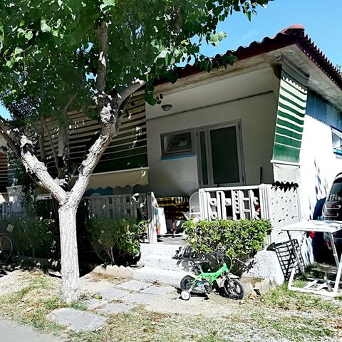 Apartement 4 Personen - Standard Bungalow - Haustiere erlaubt