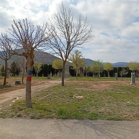Kampeerplaats - Parcela Premium - Autocaravana (>85M2)