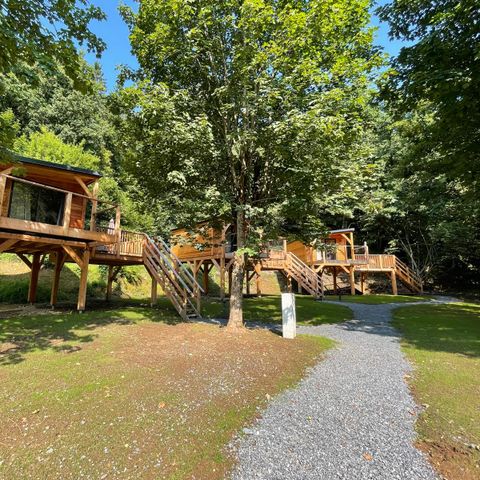 UNIEKE ACCOMMODATIE 2 personen - Tree House 2 personen