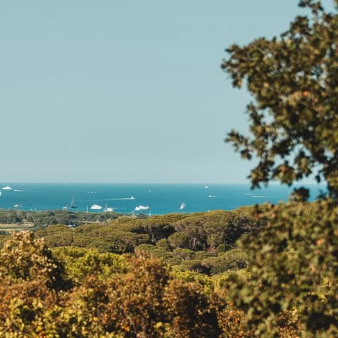 STAANPLAATS - Natuurkampeerwagen / Caravan met elektriciteit