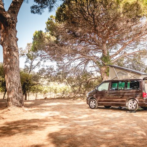Kampeerplaats - Natuur Camping Auto / Caravan