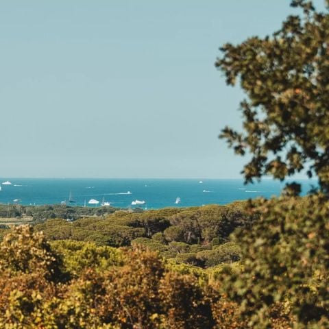 PARCELA - Naturaleza Camping Car / Caravana