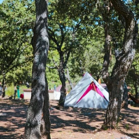 Camping Ladouceur - Ramatuelle Saint Tropez - Camping Var - Image N°4