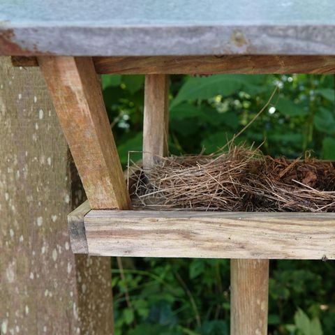 BUNGALOW 4 people - Dune 130