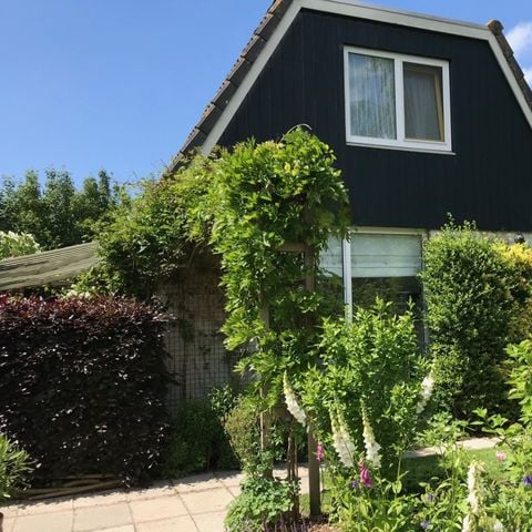 Bungalow 5 personen - Duin 123