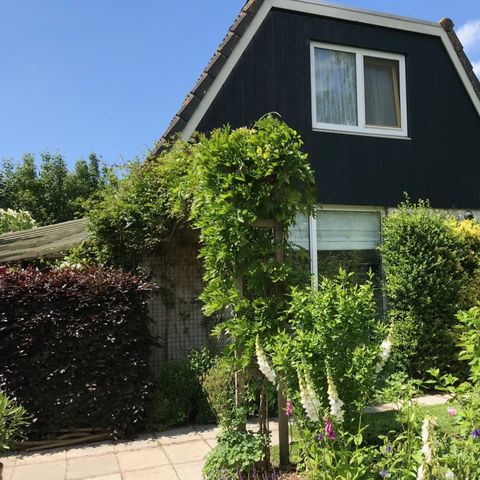 Bungalow 5 Personen - Düne 123