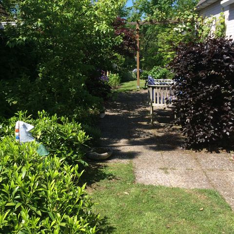 Bungalow 5 personen - Duin 123