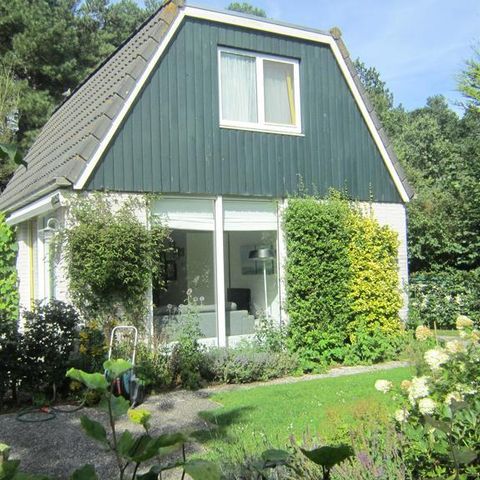 Bungalowpark Mooyeveld - Camping Bergen - Afbeelding N°2