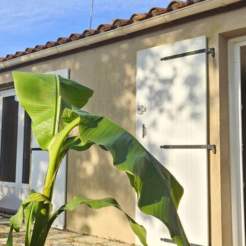 VAKANTIEHUIS 5 personen - Cottage Confort