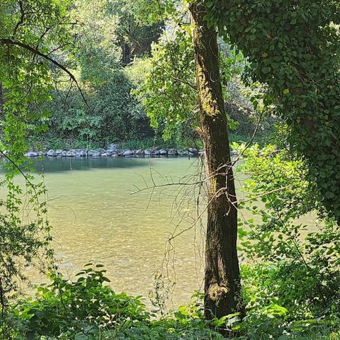 CASA MOBILE 4 persone - Casa mobile 2 camere da letto 2 bagni - Lescar MH D019