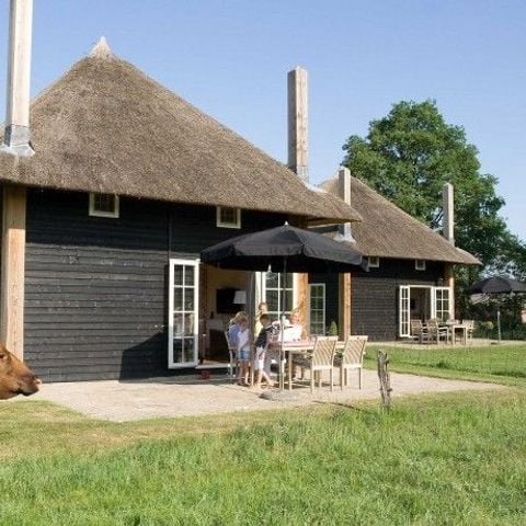 FERIENHAUS 5 Personen - Reggehooiberg