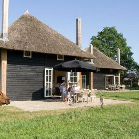 HOUSE 5 people - Reggehooiberg