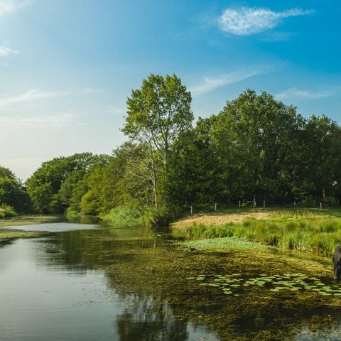CASA 5 persone - Reggehooiberg