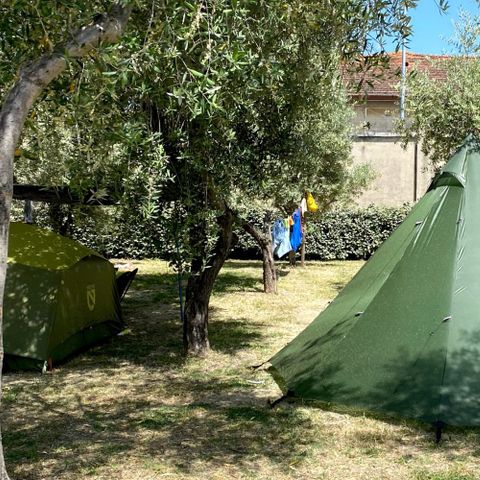 EMPLACEMENT - Camp Easy