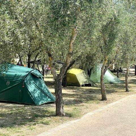 Stellplatz - Camp Easy