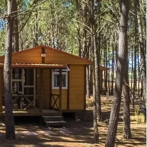 BUNGALOW 2 persone - Bungalow Basic Coppia