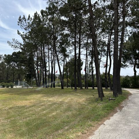 PIAZZOLA - Posizione