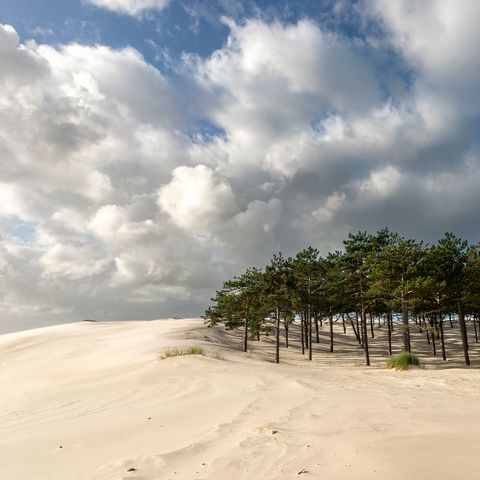 Vakantiepark Schoorlse Duinen - Camping Bergen - Image N°6