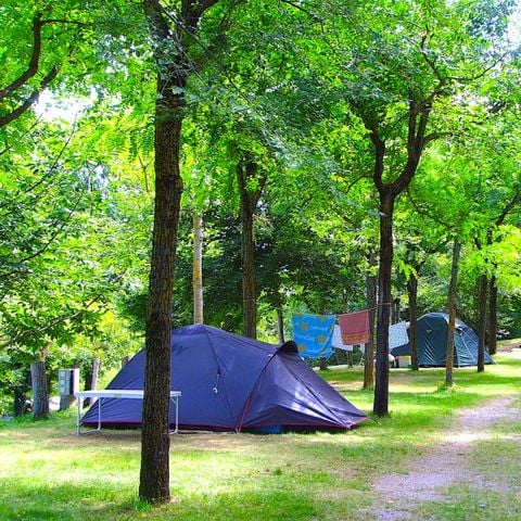 Kampeerplaats - Standaard 50m² standplaatsen