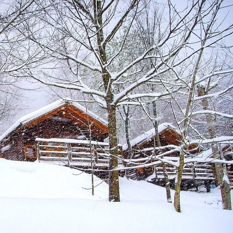 Bungalow 2 Personen - Bungalow Zen