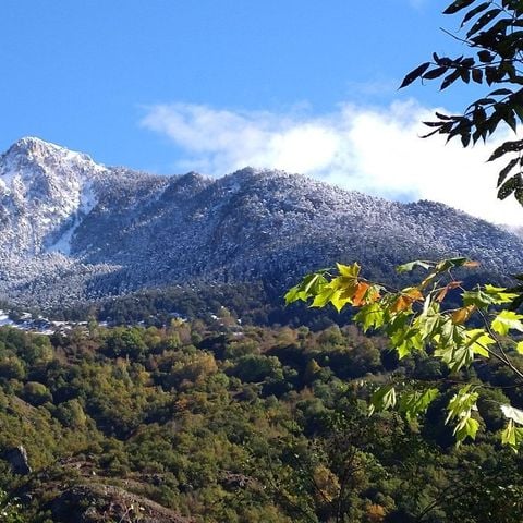 Bedura Park, camping temático de la naturaleza y bungalows - Camping Lleida