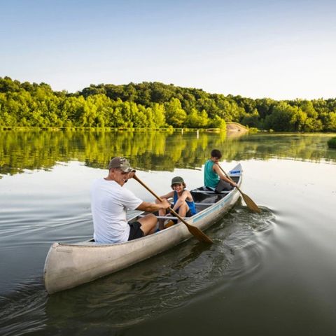 Dormio Hotel Der Seehof - Camping Nordrhein-Westfalen - Image N°3
