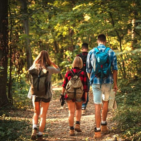 Dormio Hotel Der Seehof - Camping Nordrhein-Westfalen - Image N°5