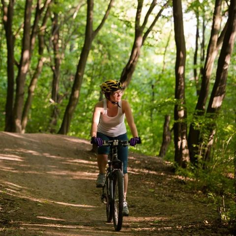 Dormio Hotel Der Seehof - Camping Nordrhein-Westfalen - Image N°5