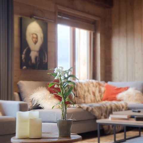Chalet Odalys Le Lys - Camping Isère - Image N°6
