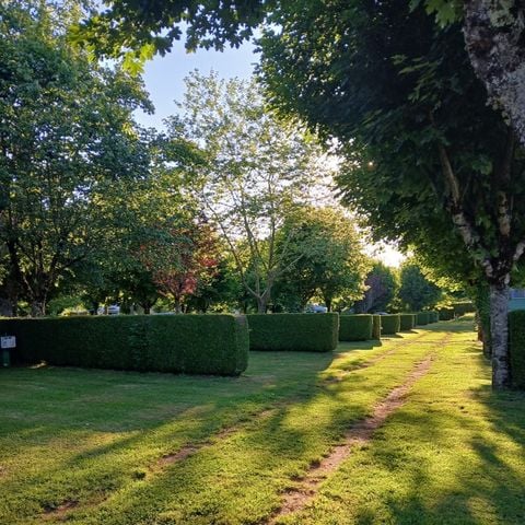 STAANPLAATS - Pakket voor 2 personen + auto