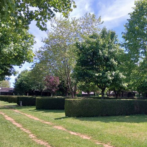 Pitch - Package for 2 people + car