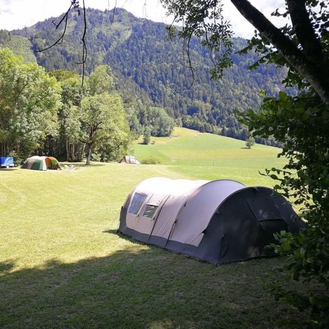 Kampeerplaats - camping met elektriciteit