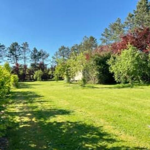 ALOJAMIENTO INUSUAL 2 personas - Pequeña cabaña en el pinar