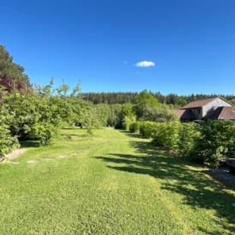 UNIEKE ACCOMMODATIE 2 personen - Pine Tree Tiny Cottage