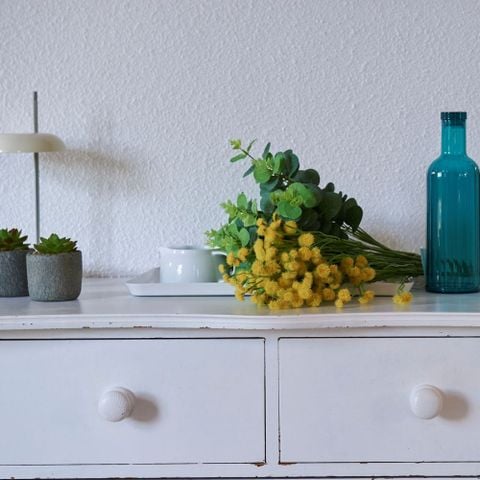 Villa 4 Personen - Elsass