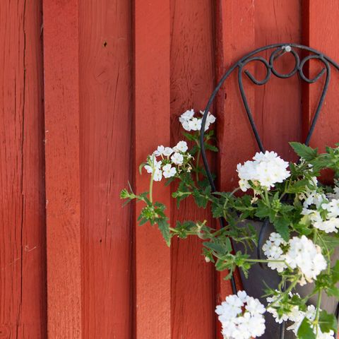 CHAMBRE 4 personnes - Chambre d'Emilia