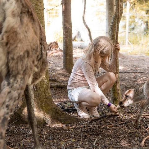 Valkeisen Loma - Camping Central Finland - Image N°2