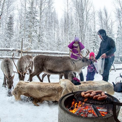 Valkeisen Loma - Camping Central Finland - Afbeelding N°3